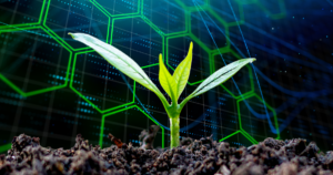 Machine Learning Uncovers New Targets for Plant Engineering